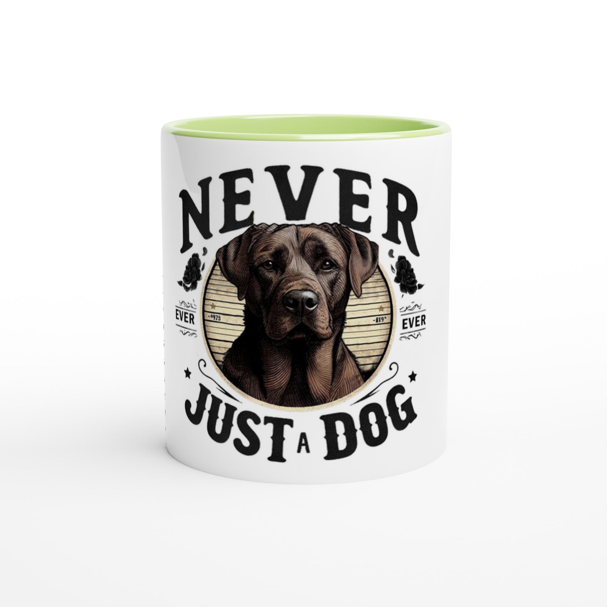 567f0420-507d-4d5a-95cd-38274b23870b