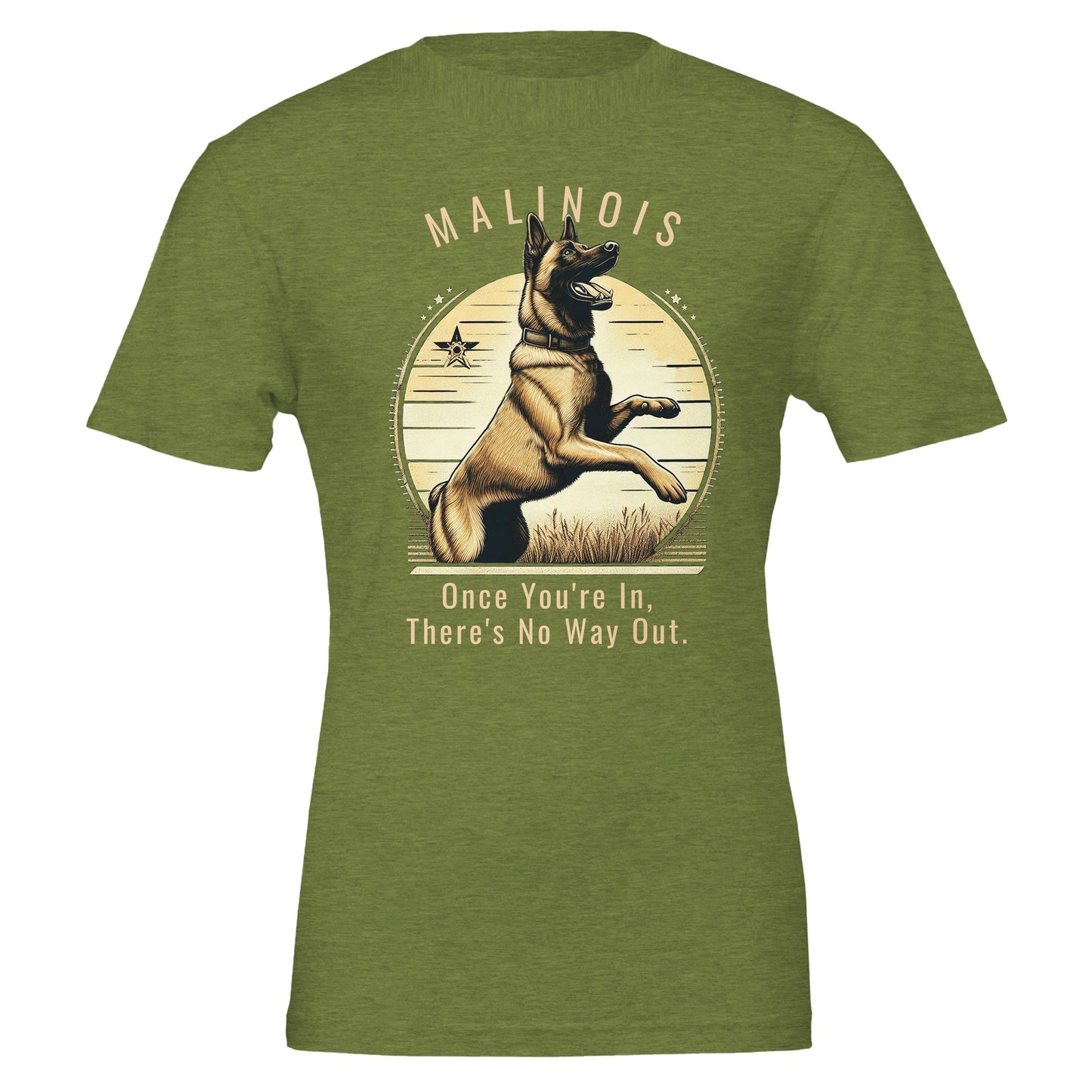 56faeb45-e8eb-4d9a-a841-473fa1db960d