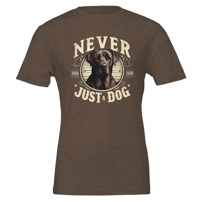 584f6578-27c7-4da1-910a-131e98c7024b