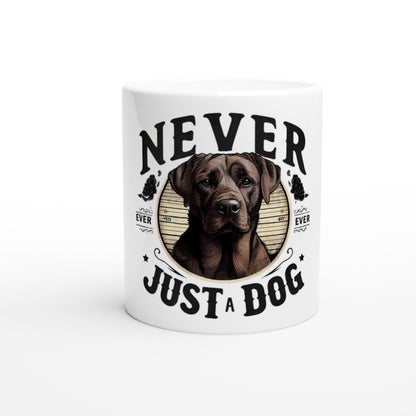 5b71c9cb-1837-4b4e-8227-7a4bbf049e6a