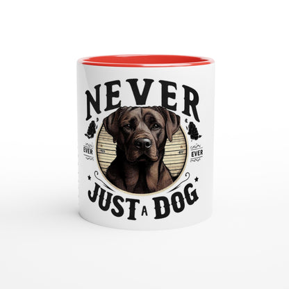 5d08dd2b-e5a4-4e65-ace4-d06204dd3d4a