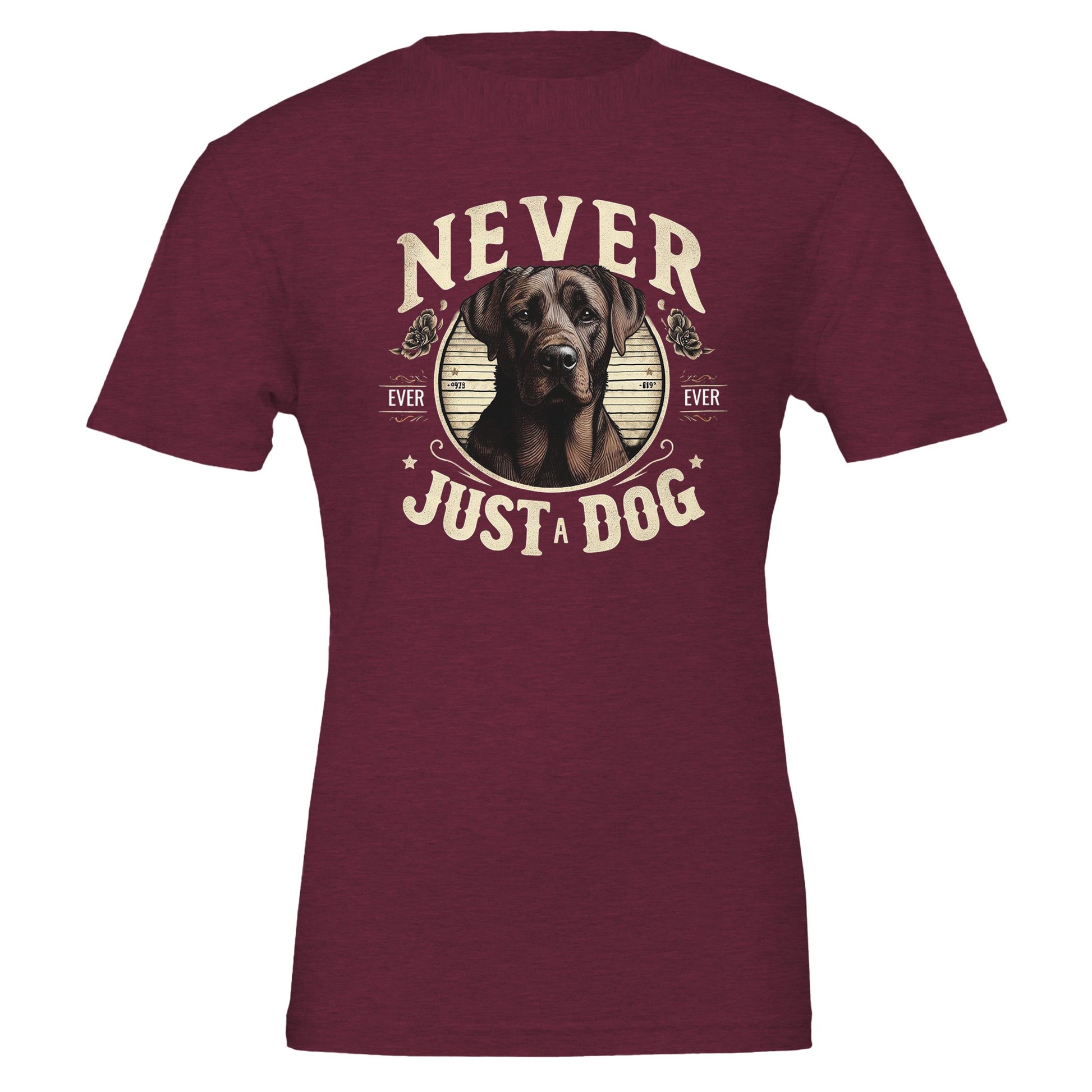 5eaf4a42-26b3-48a0-9f67-a3dafc2a471e