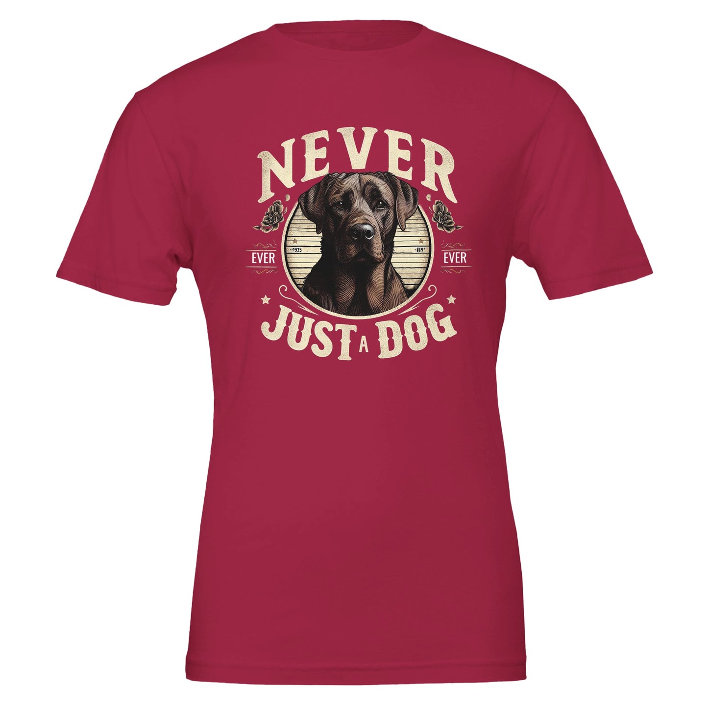 62763b71-c213-4416-9166-2c147c594a64