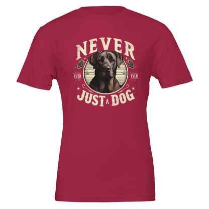 62763b71-c213-4416-9166-2c147c594a64