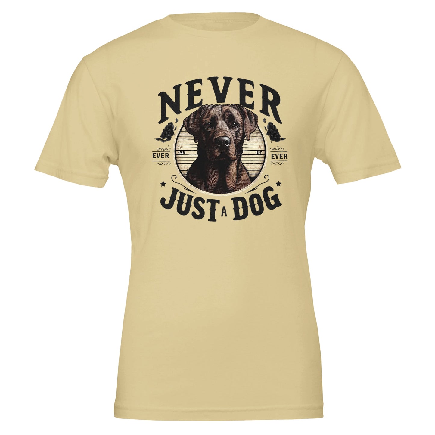 66efcabe-de9a-46e3-8ee0-523c62a9e8e6