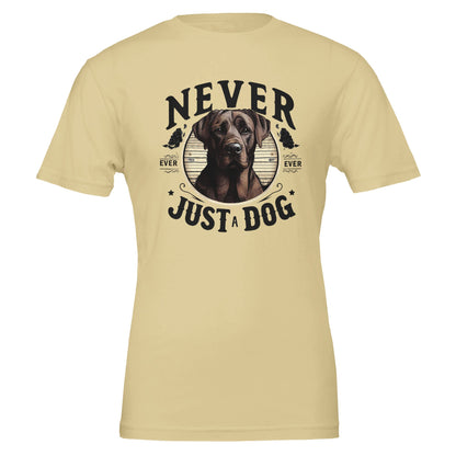 66efcabe-de9a-46e3-8ee0-523c62a9e8e6