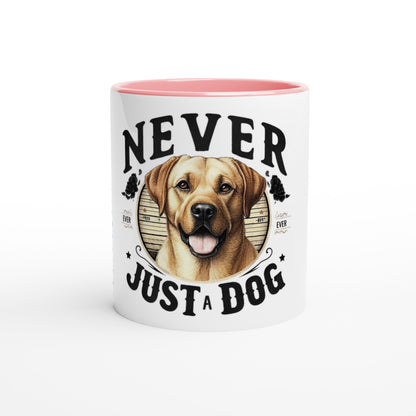 687b5258-384b-4771-b186-ce486124411f