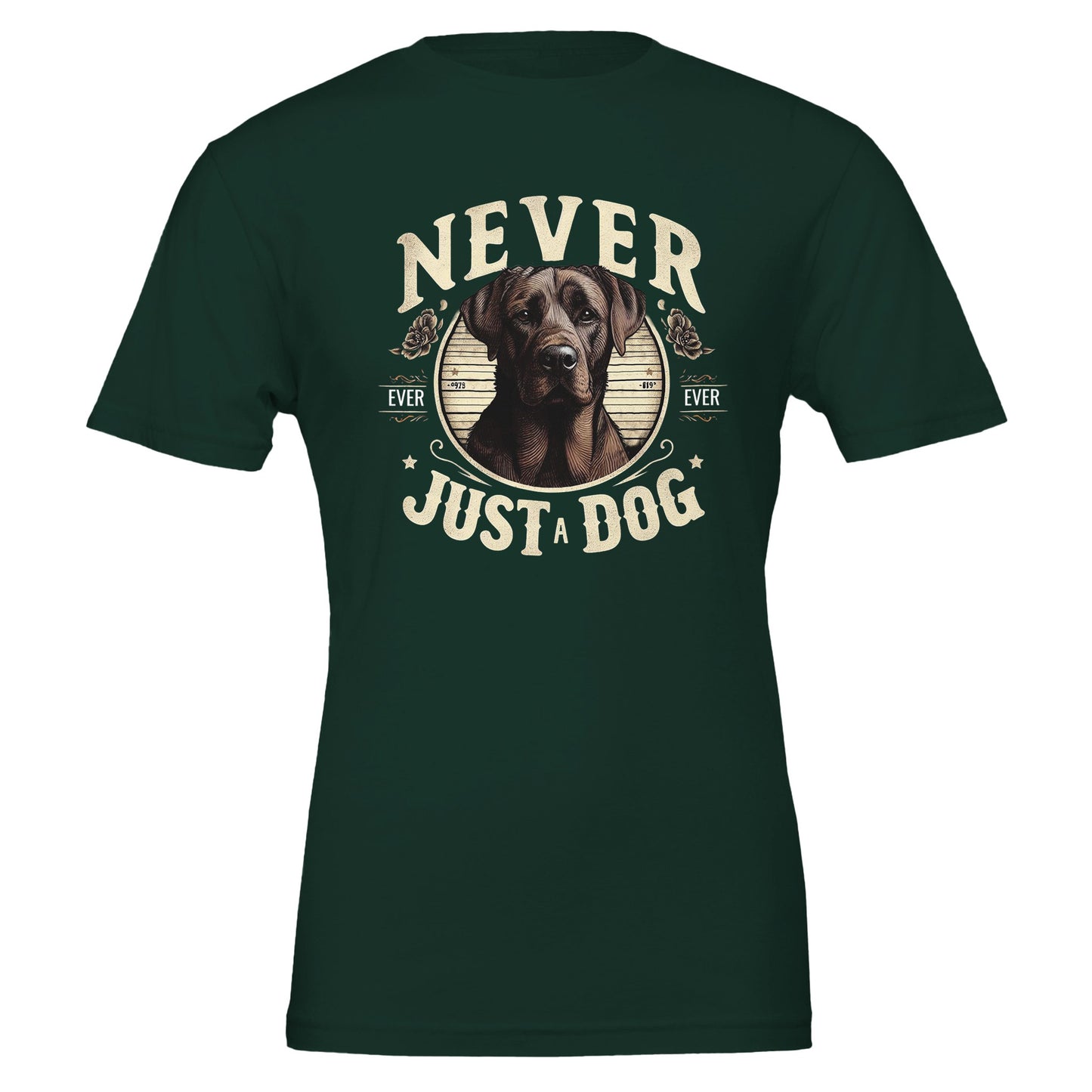 695fa62d-5386-4aad-b3a3-b07bb29d6f63