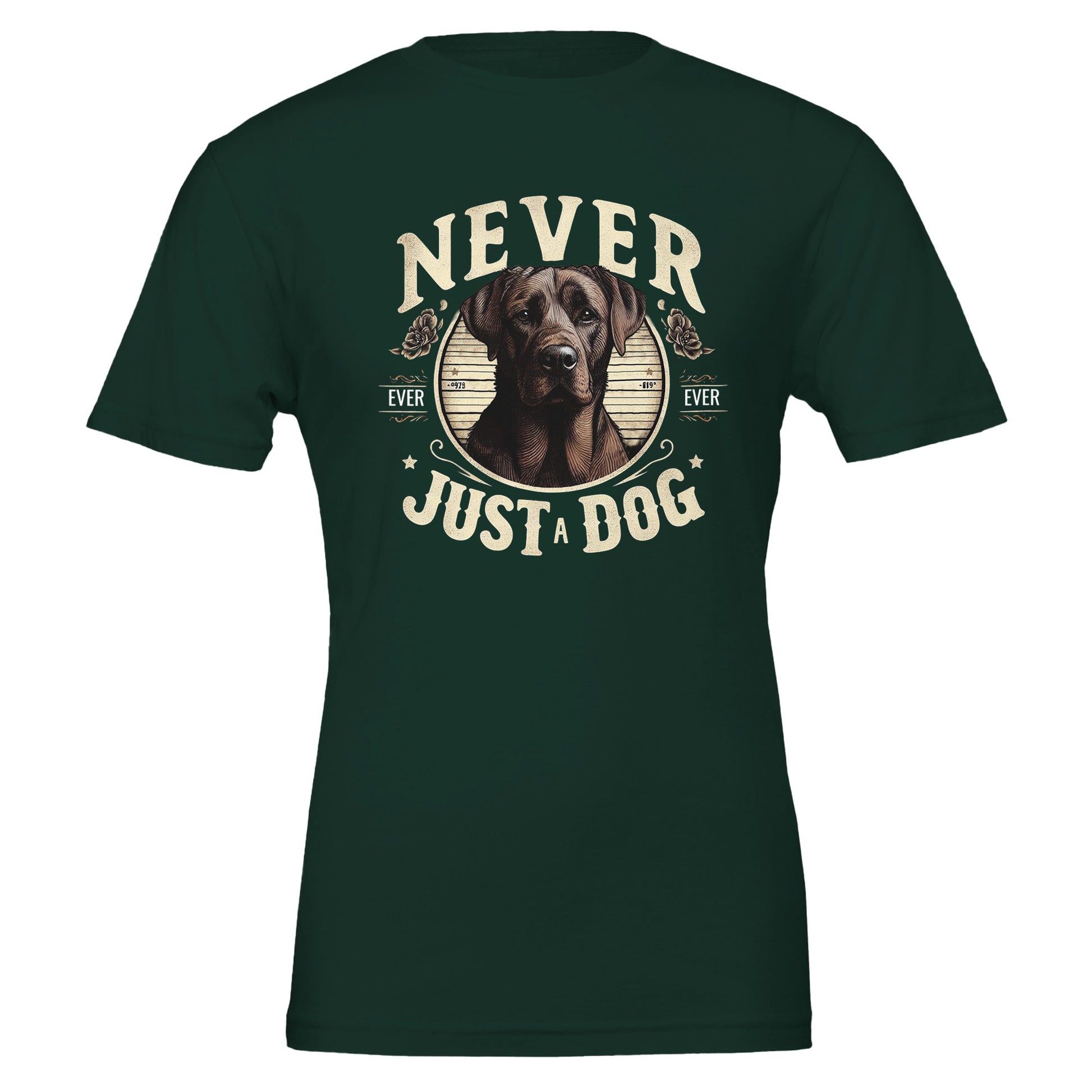 695fa62d-5386-4aad-b3a3-b07bb29d6f63