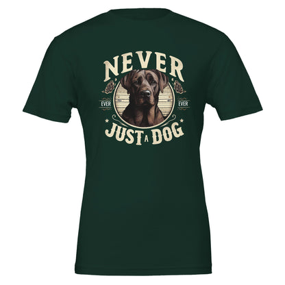 695fa62d-5386-4aad-b3a3-b07bb29d6f63