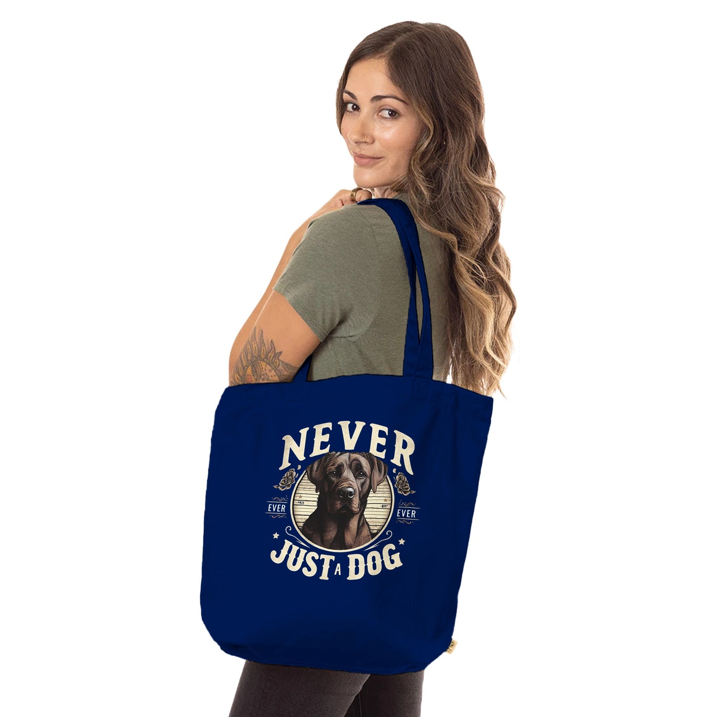 6ae143e1-8ade-42c9-b1d2-64ffd1de991b