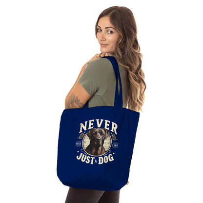 6ae143e1-8ade-42c9-b1d2-64ffd1de991b