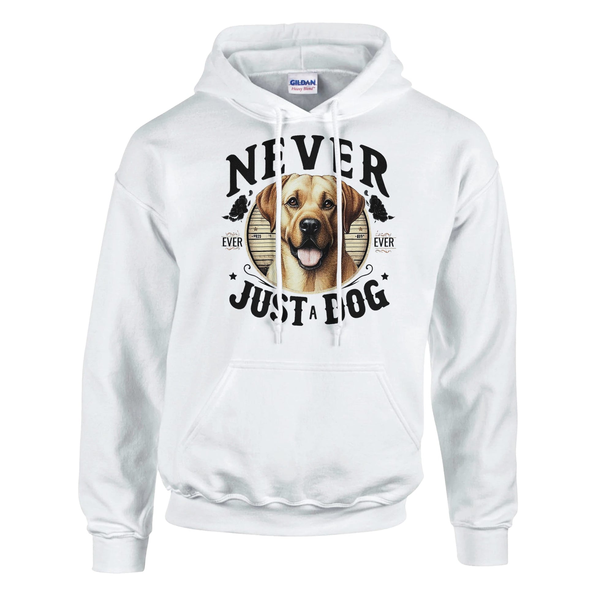 6b7fe479-7bfa-4662-a0ff-98fbcb5a6f08