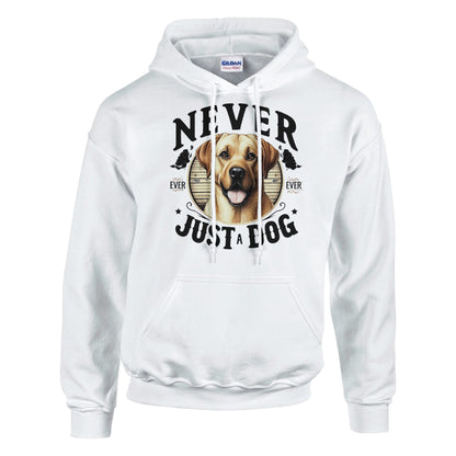 6b7fe479-7bfa-4662-a0ff-98fbcb5a6f08