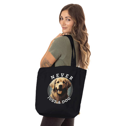 6cdf682e-82ed-4c91-844d-9ba53348a6a1