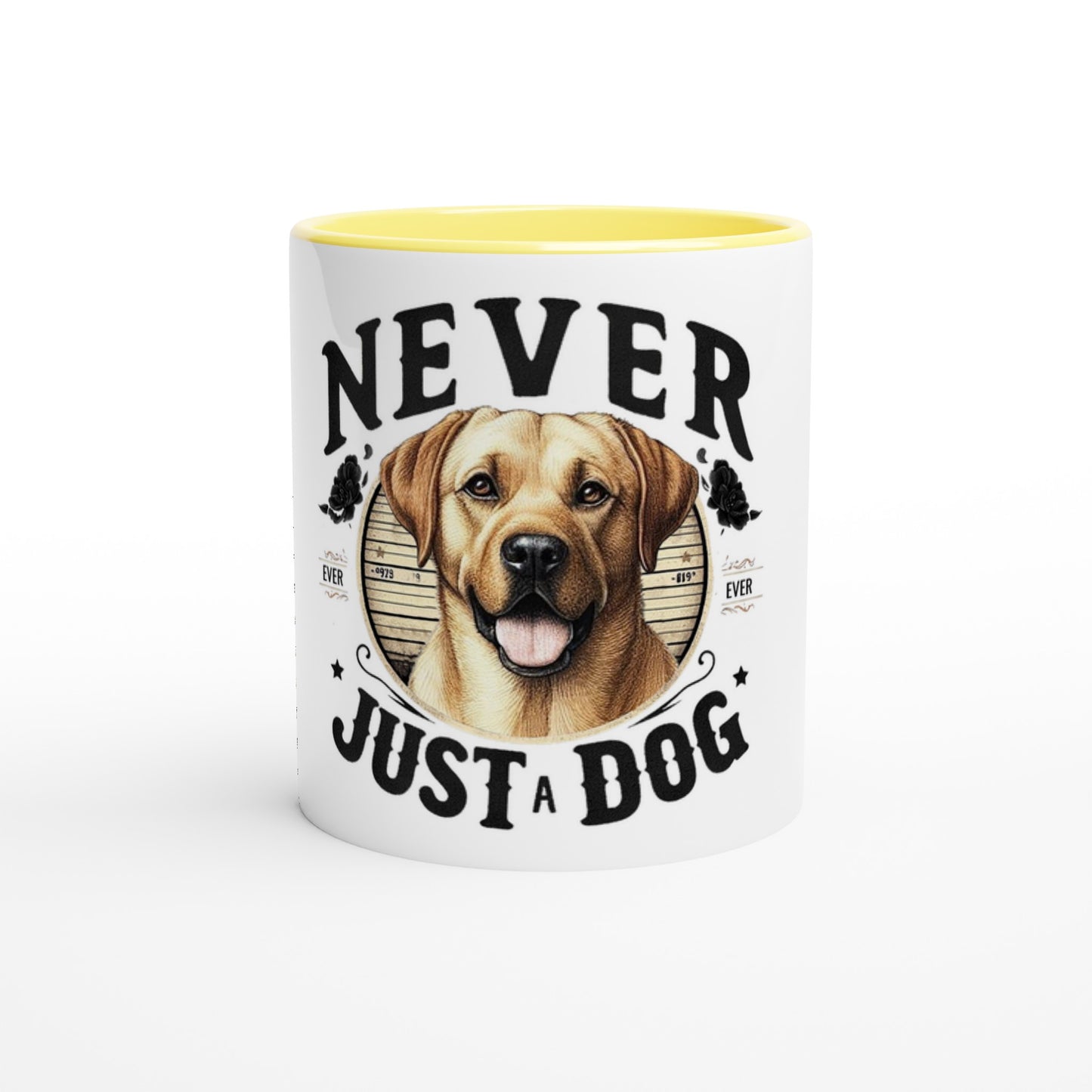 6e5518d2-3597-4b68-8a36-d1a44a5abbc0