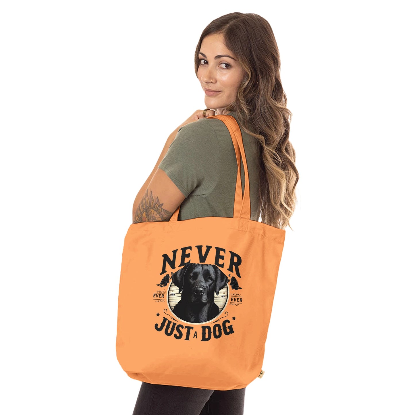 80688481-49c5-4de1-97ce-8501d6691503