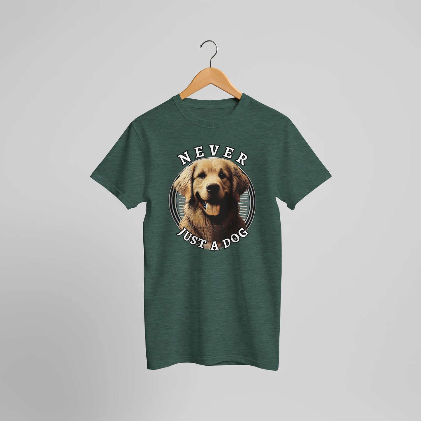 813d5e01-285f-427e-88ab-70ac94ac1de0