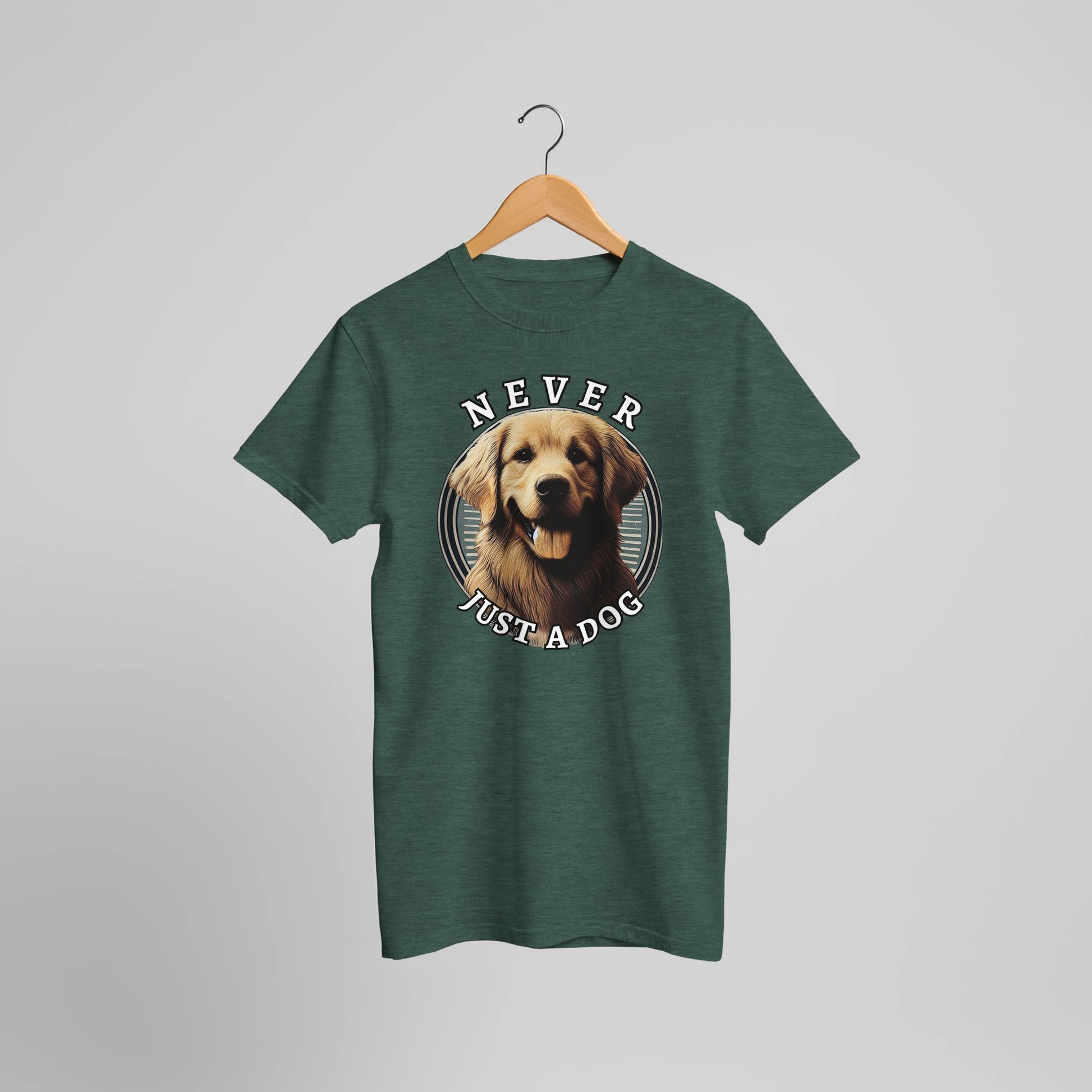 813d5e01-285f-427e-88ab-70ac94ac1de0