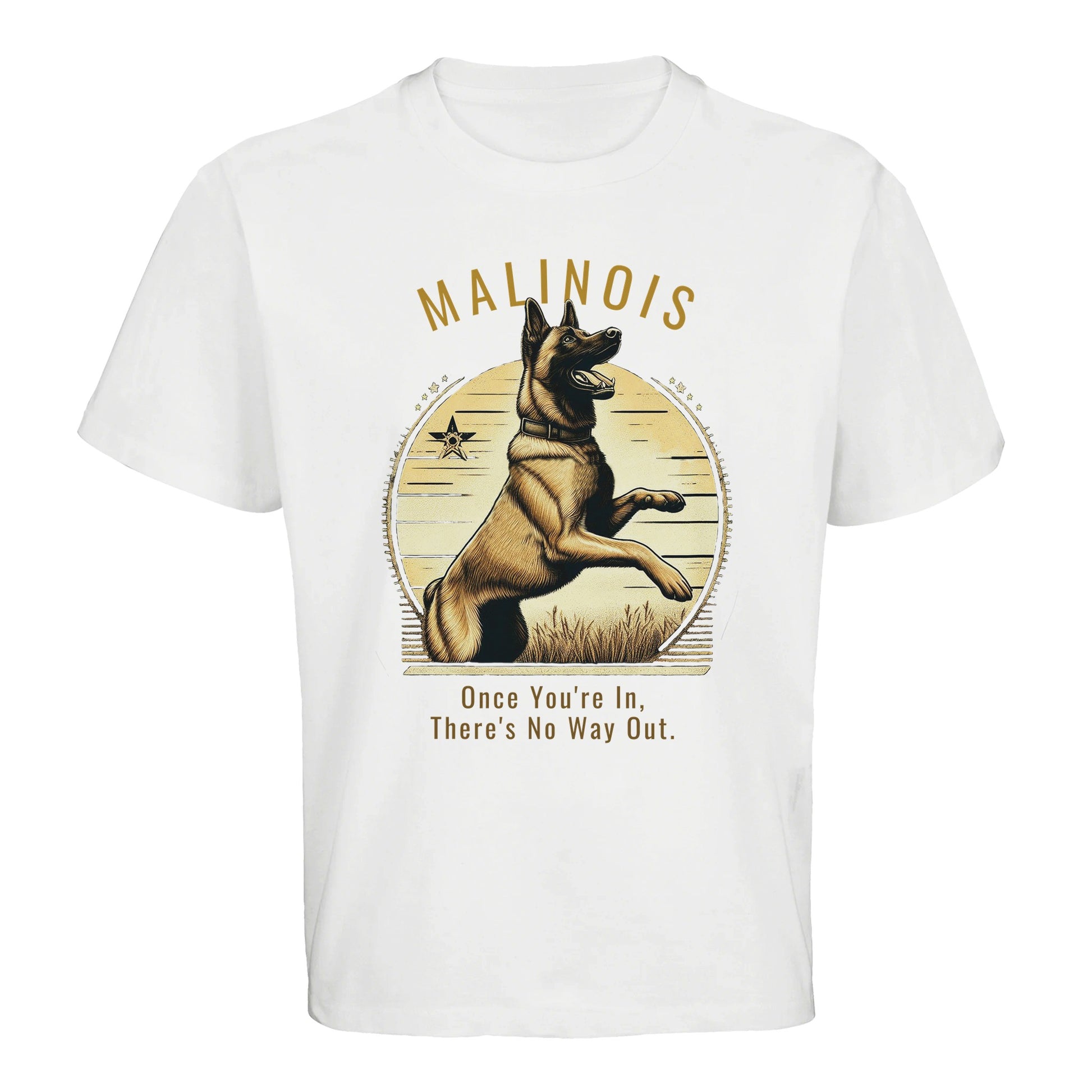 8455465c-f8f7-4faf-ae3f-4909dc65824c