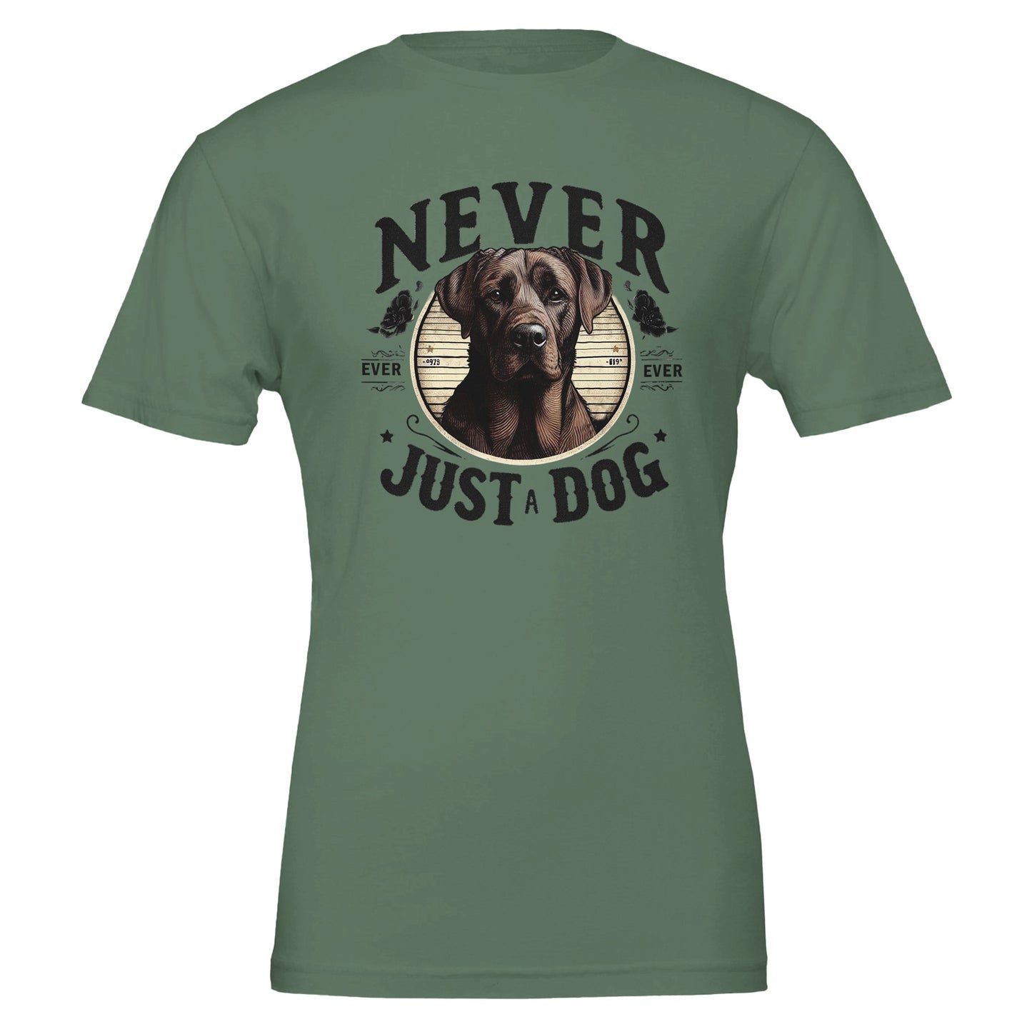 880a97d3-cf73-427b-954e-3b77e4dfb4b8