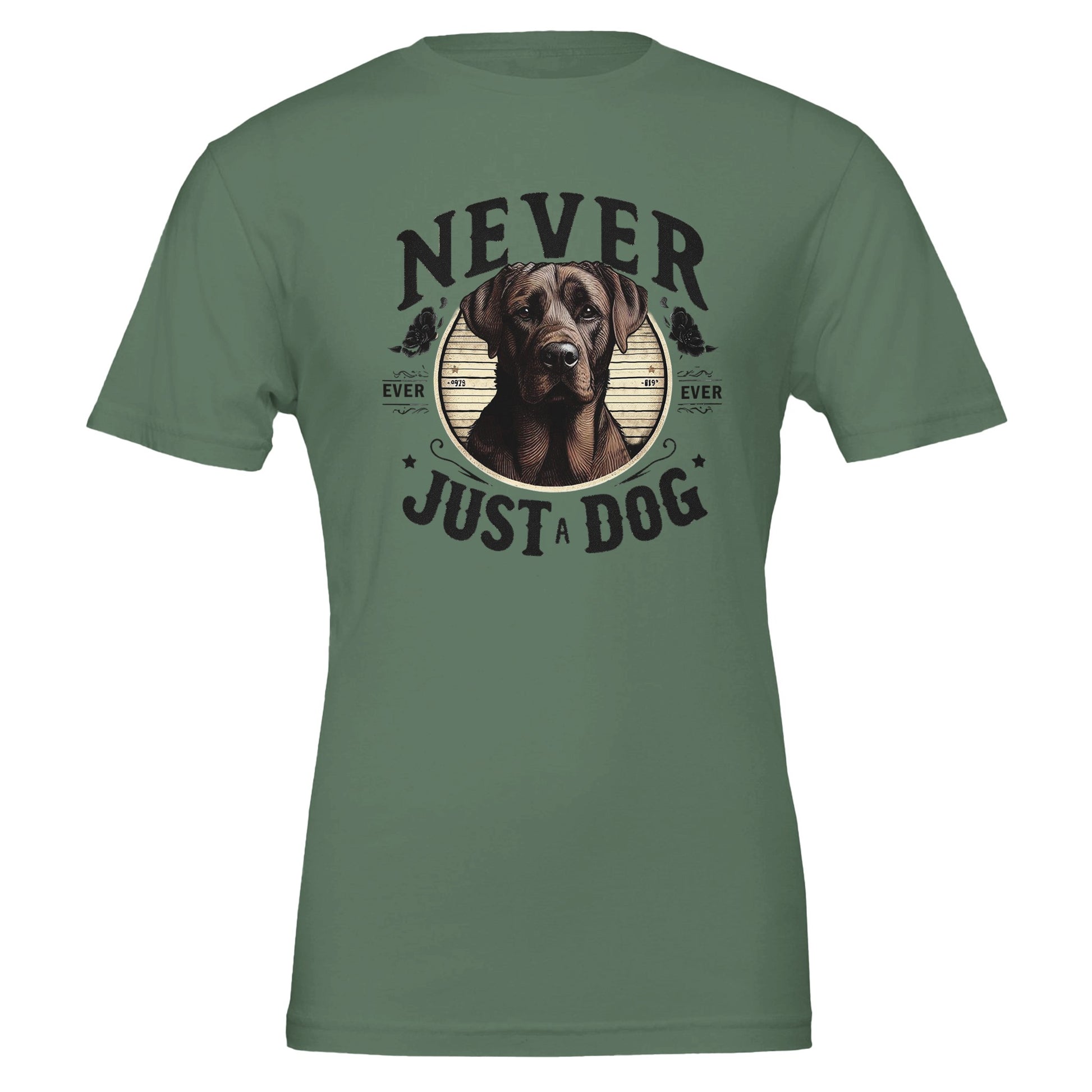 880a97d3-cf73-427b-954e-3b77e4dfb4b8