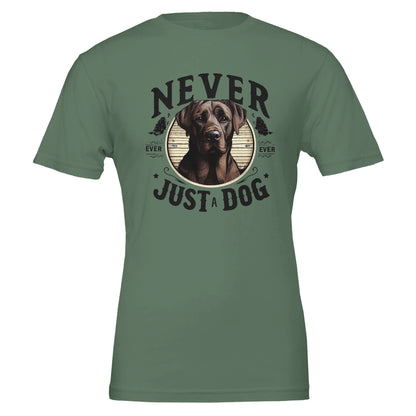 880a97d3-cf73-427b-954e-3b77e4dfb4b8