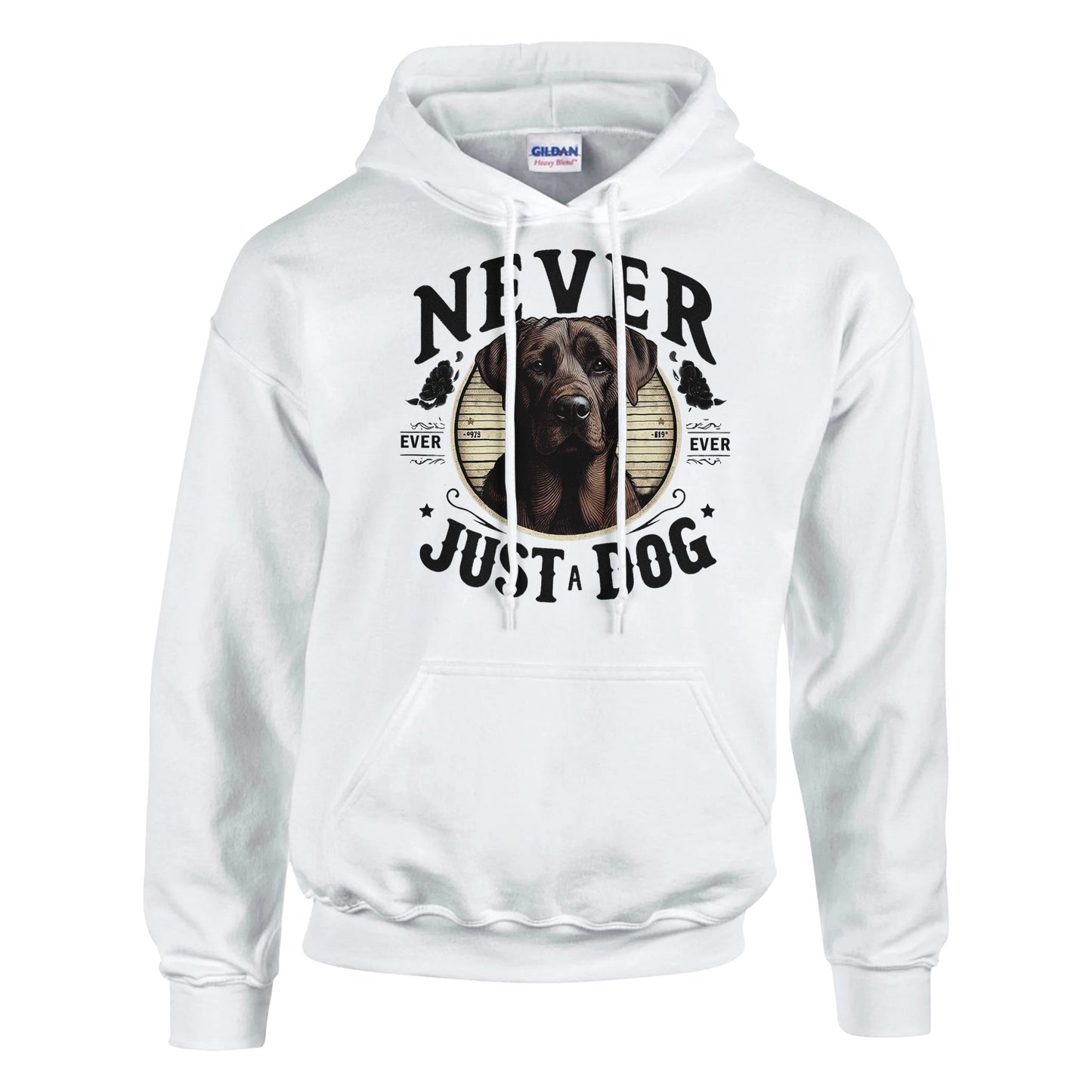 8c1b604b-1f6e-44a7-b196-bbbea41d4bee