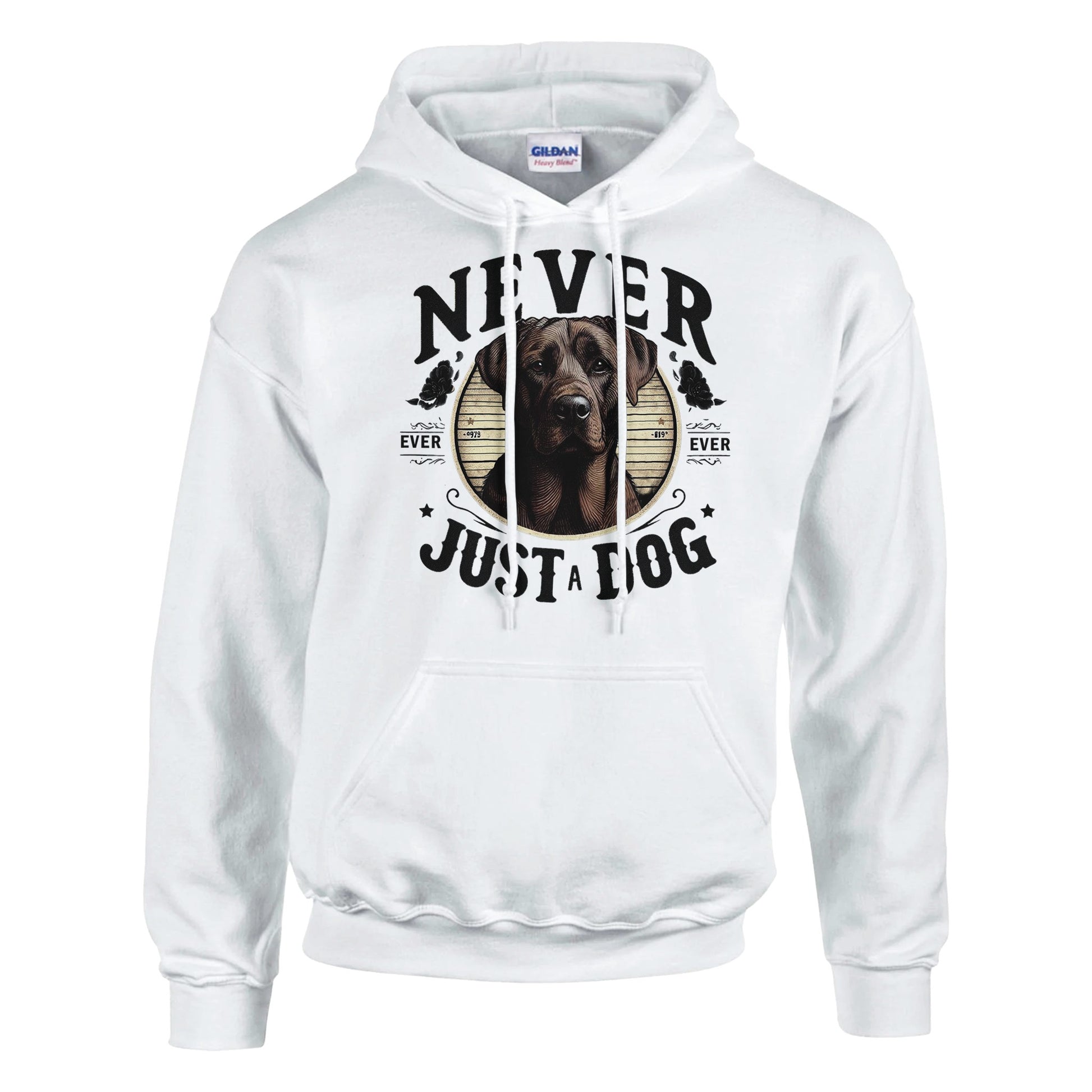 8c1b604b-1f6e-44a7-b196-bbbea41d4bee