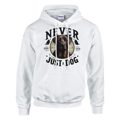 8c1b604b-1f6e-44a7-b196-bbbea41d4bee