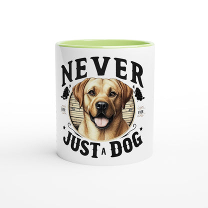 902b3cbe-0480-47c5-ab10-d0a9dc2a301a