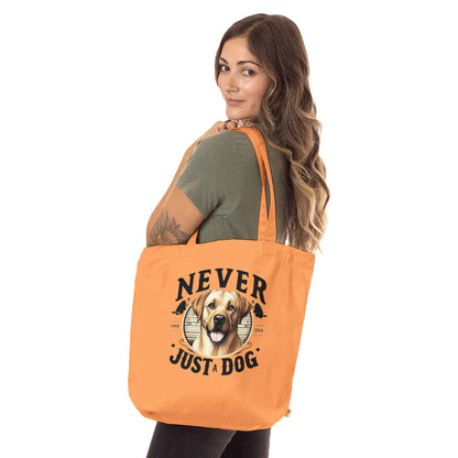 9052cb6c-fbb5-41b1-8b6f-1554712a60a9