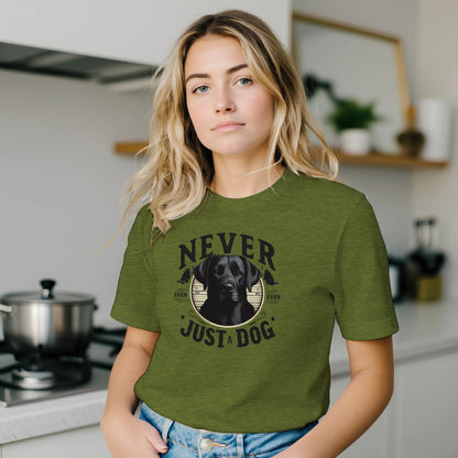 90536deb-dcec-43d3-9fa0-321e92c56a90