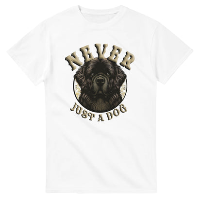 90ff55ff-5984-4c50-b027-dd91d63f525d