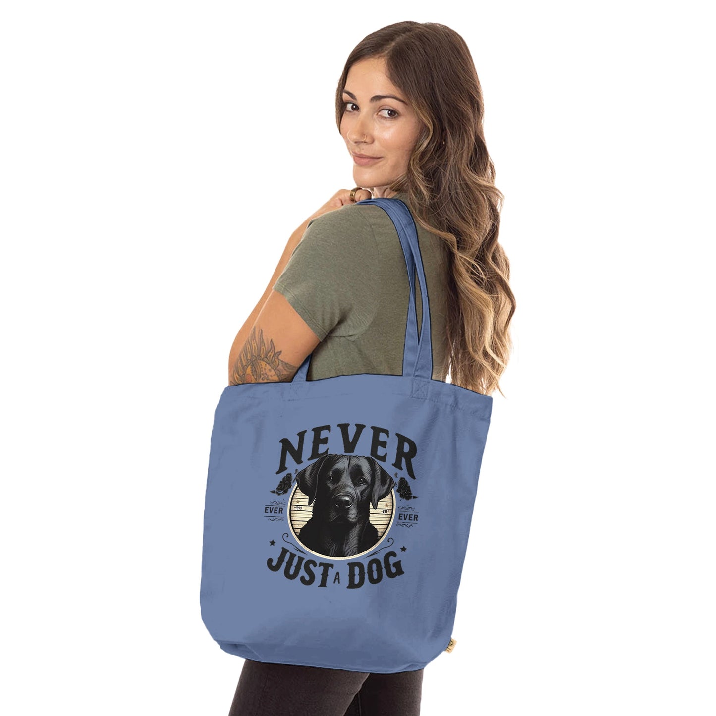 97c327ed-45c5-4b1f-a9f7-192ad1e4c2c3