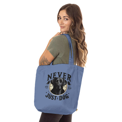 97c327ed-45c5-4b1f-a9f7-192ad1e4c2c3