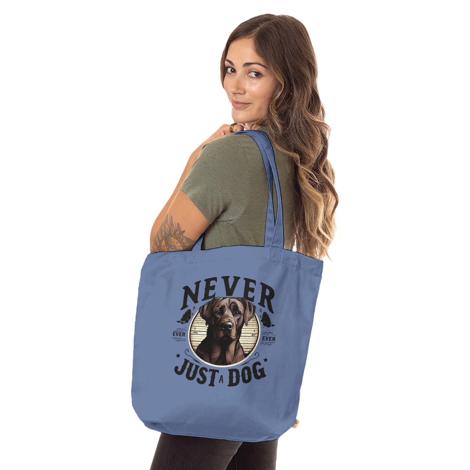 9b7b5516-9006-46b5-9ed3-fa0f4281d1e1