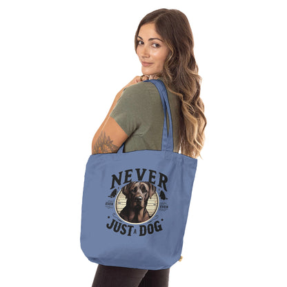 9b7b5516-9006-46b5-9ed3-fa0f4281d1e1