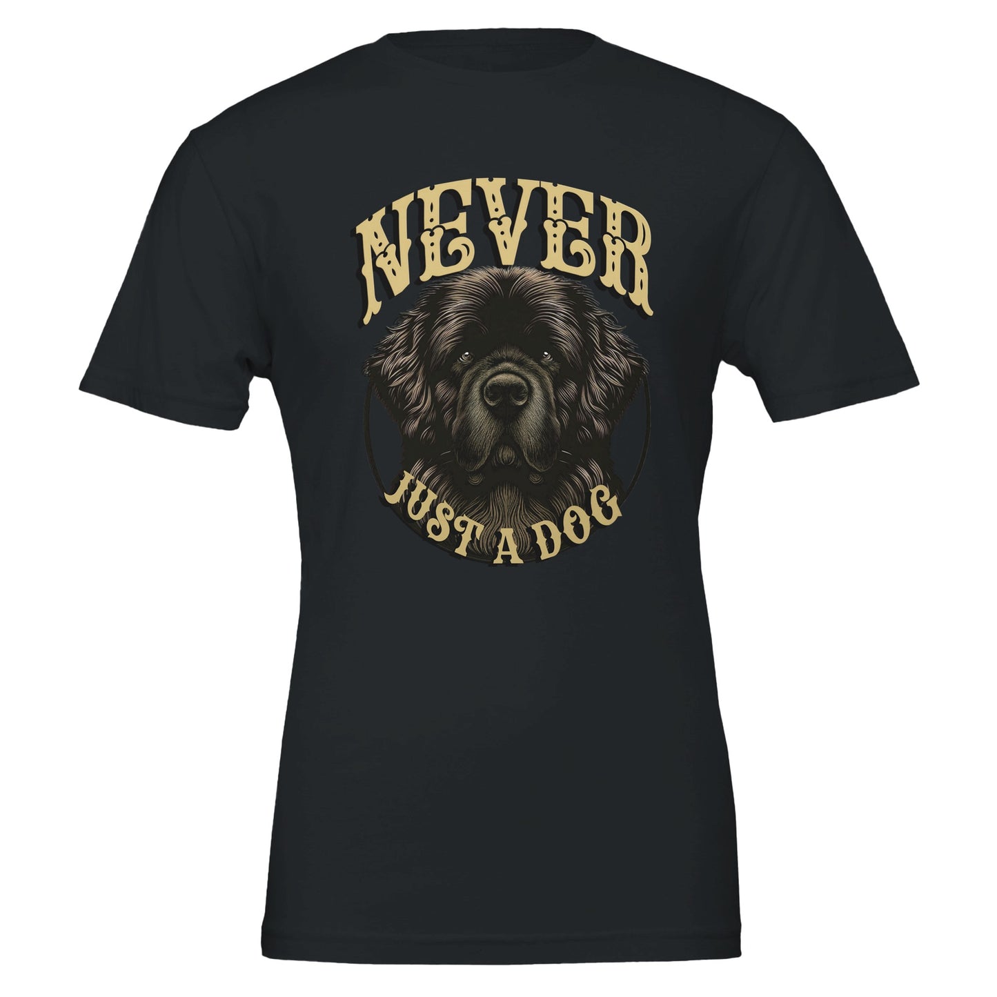 9c50e22a-f933-4843-ba40-b05c66d61d66