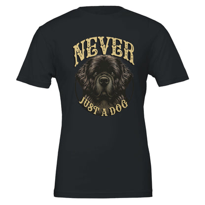 9c50e22a-f933-4843-ba40-b05c66d61d66