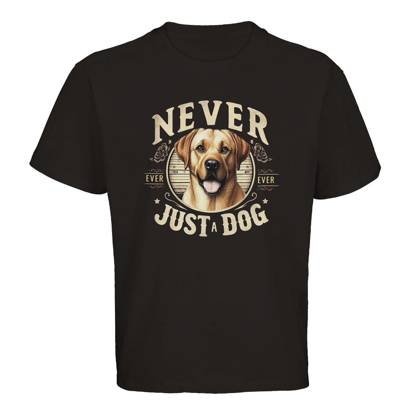 9cdf1807-d08a-41e2-a66d-3f5f60d29132