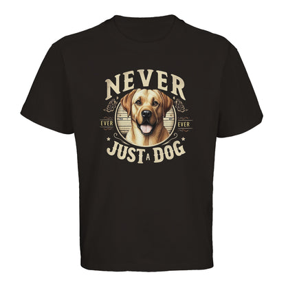 9cdf1807-d08a-41e2-a66d-3f5f60d29132