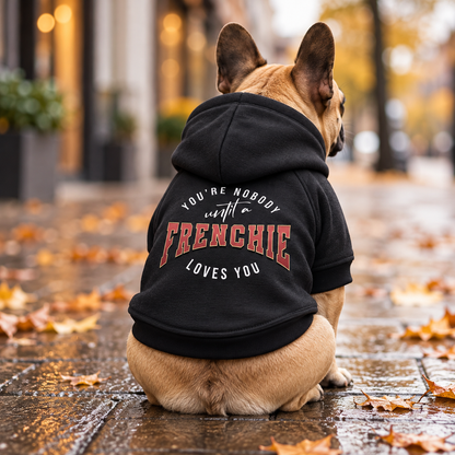 You're Nobody, Until A Frenchie Loves You – Premium Dog Hoodie