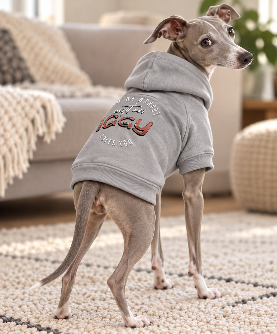 You're Nobody Until An Iggy Loves You – Premium Dog Hoodie