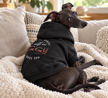 You're Nobody Until An Iggy Loves You – Premium Dog Hoodie