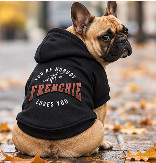 You're Nobody, Until A Frenchie Loves You – Premium Dog Hoodie