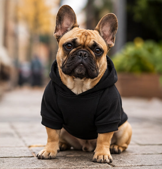 You're Nobody, Until A Frenchie Loves You – Premium Dog Hoodie