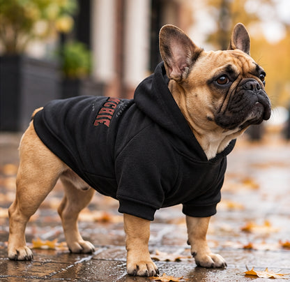 You're Nobody, Until A Frenchie Loves You – Premium Dog Hoodie