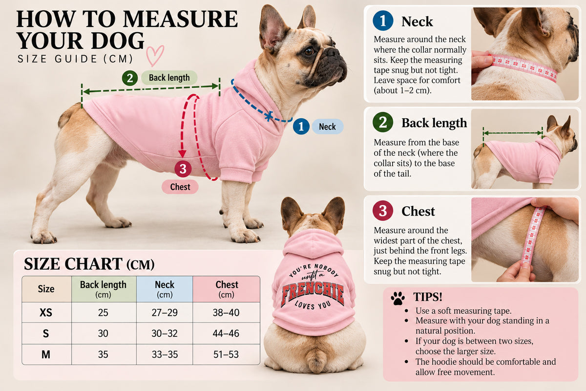 You're Nobody, Until A Frenchie Loves You – Premium Dog Hoodie