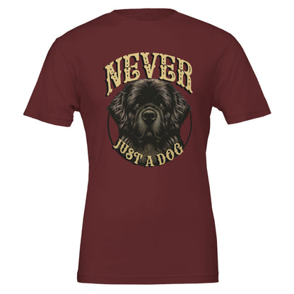 a7ab4769-8f60-4f5f-940d-f9d622e42d67